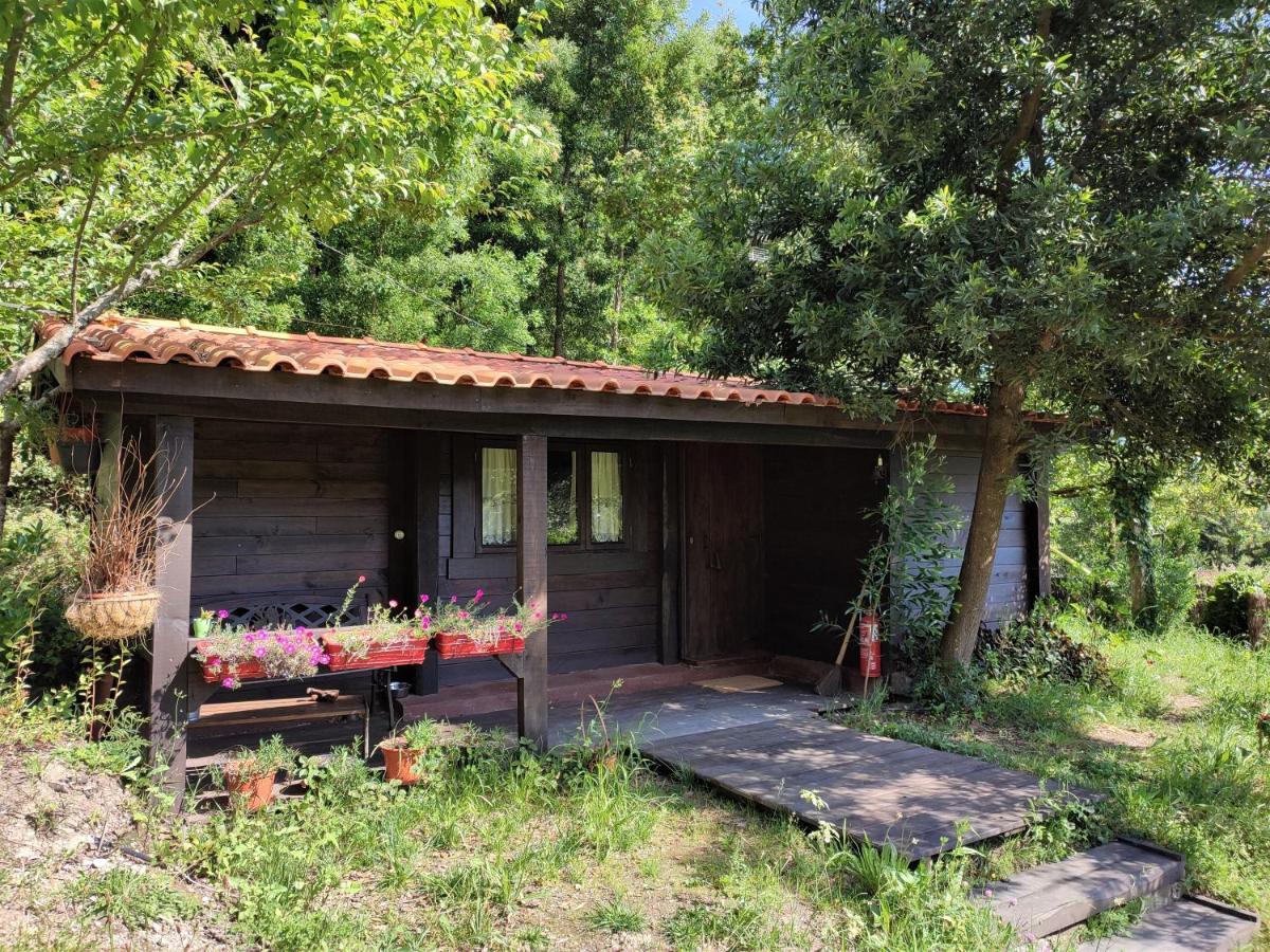 O Cantinho De Coura - A Cabana Паредес де Коура Екстериор снимка